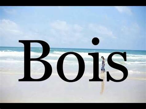 bois traduzione|french word bois meaning.